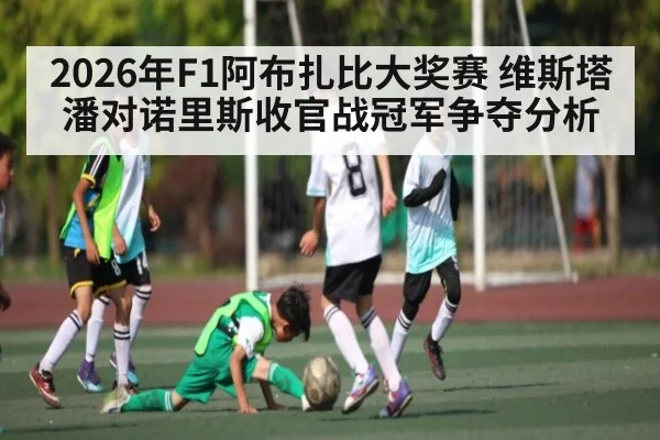 2026年F1阿布扎比大奖赛 维斯塔潘对诺里斯收官战冠军争夺分析